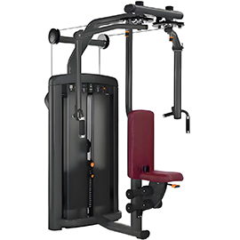 Butterfly Chest & Back