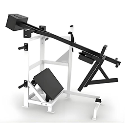 Pendulum Squat Machine