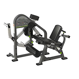 Seated Leg Extension
