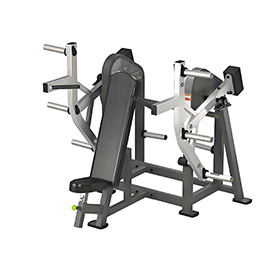 Seated Shoulder Press