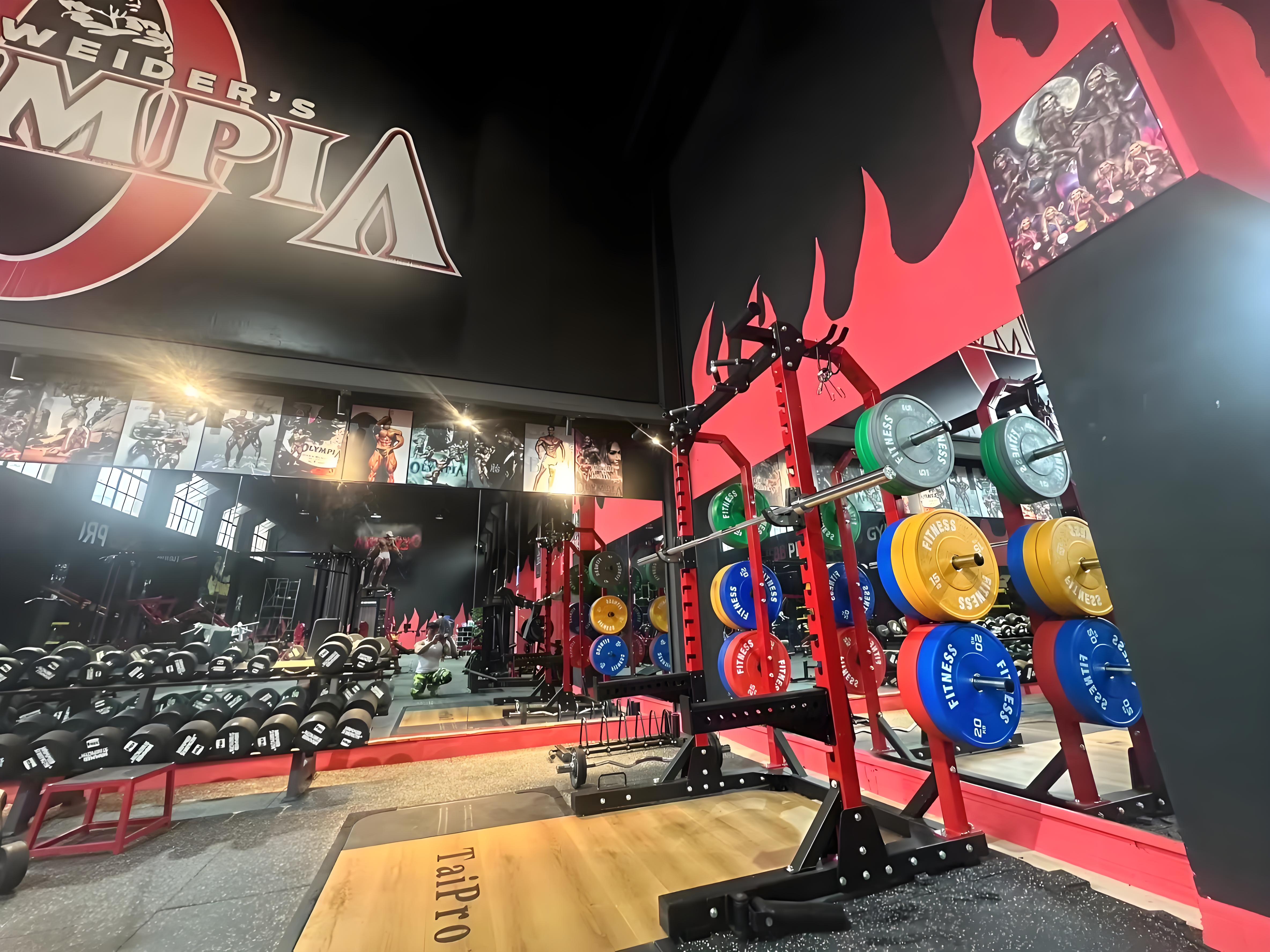 Ningjin Fitness Equipment Goes Global, Powering the Rapid Growth of the Fitness Industry