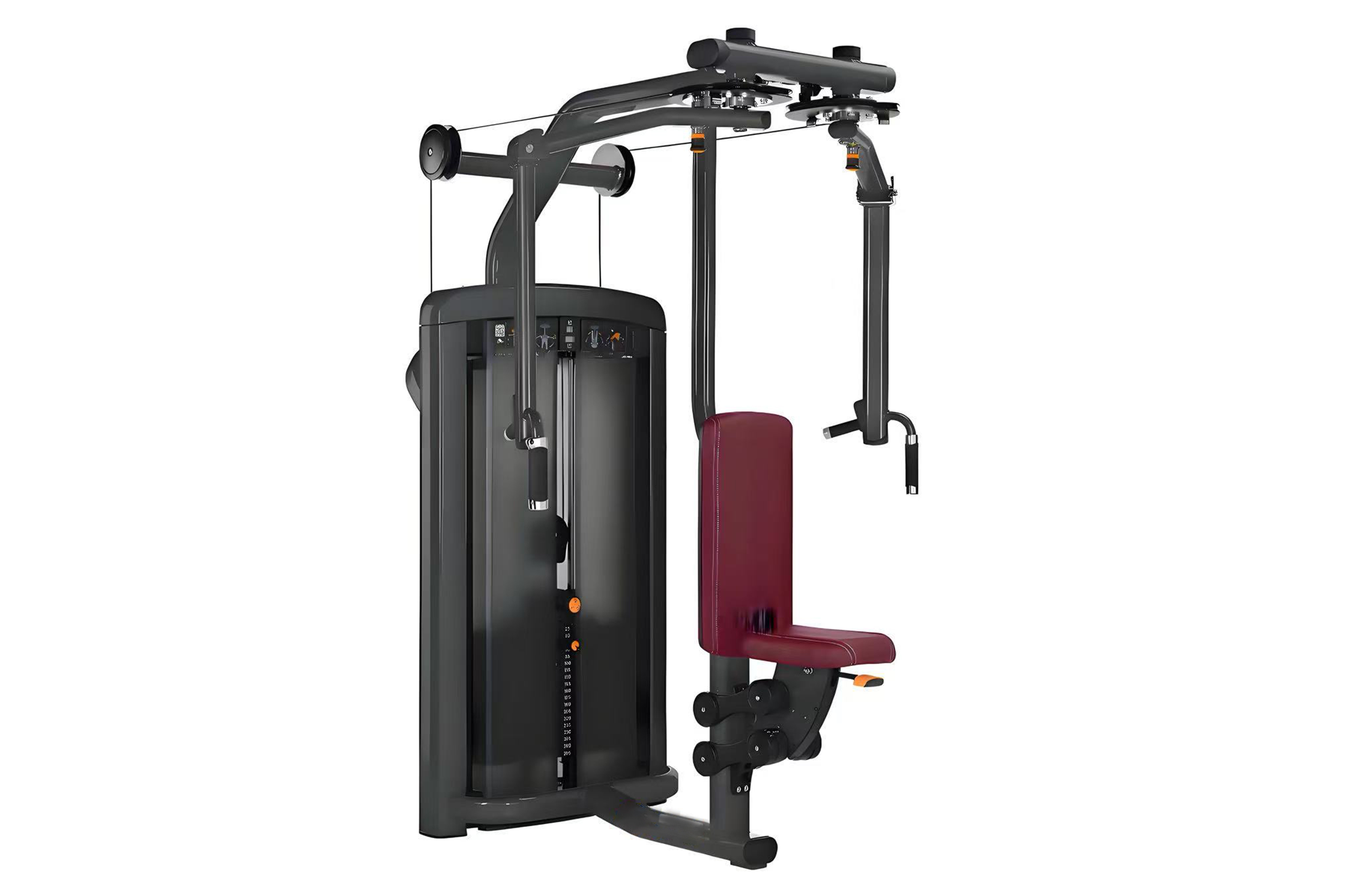 Butterfly Chest & Back