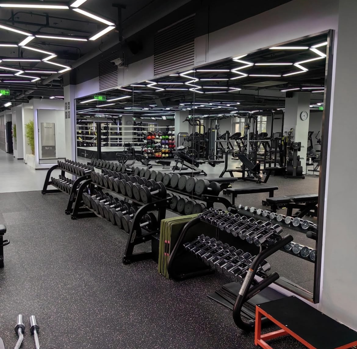 Rising Global Demand for Fitness Equipment: Factory Direct Solutions for International Buyers