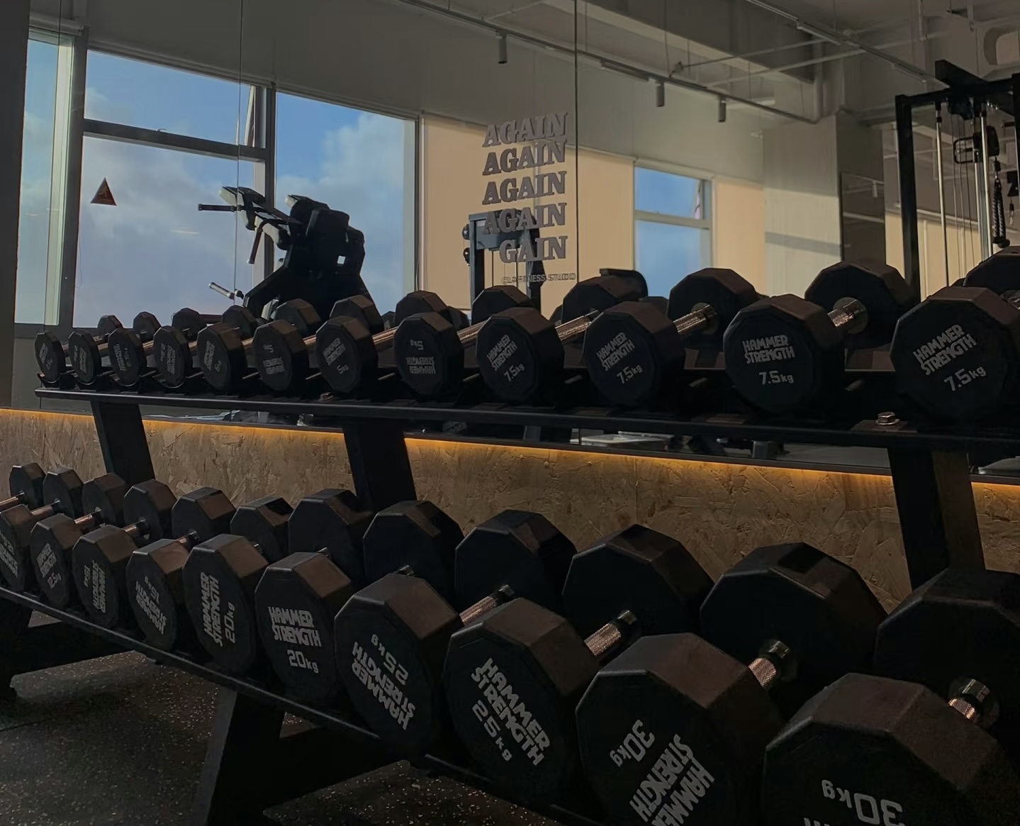 Global Fitness Equipment Exports Drive Health Awareness and Economic Growth
